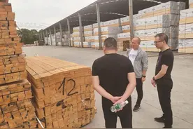 这家木材国企是如何做到的？图片