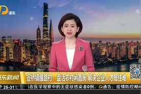 宣桥镇腰路村：盘活农村闲置房 解决企业人才居住难视频封面