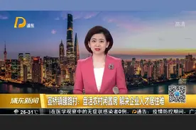宣桥镇腰路村：盘活农村闲置房 解决企业人才居住难视频封面