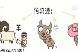 江门：女子饮用羊胎盘汤 致关节痛数月视频封面