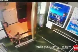 哈士奇被强行拖走殴打并遗弃 检方以盗窃罪起诉！成都男子或成“第一人”图片