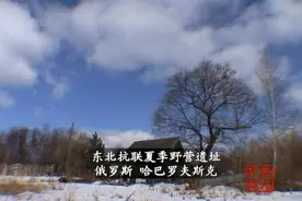 二战绝密档案公布，8名抗联战士曾获苏联最高荣誉图片