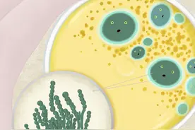 幸运的“过失” | 科学史小画图片