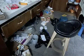 猫咖店歇业任由数十只猫自生自灭？附近商家：生病不送医图片
