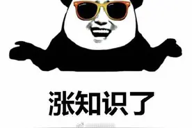 两只老虎歌曲源自军歌图片