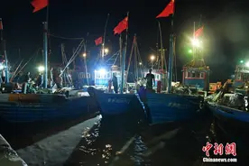 河北黄骅：渔船满载而归图片