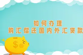 中国农业银行湖南省分行教你货贸项下便利化购汇视频封面