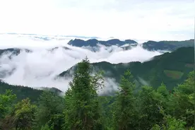 谈乡镇党政一把手的协同图片