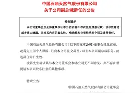中国石油：因个人原因，凌霄辞任副总裁图片