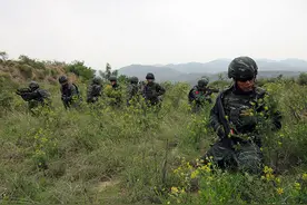 武警第一机动总队某支队开展特战小队搭乘直升机融合训练图片