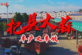丰收又丰产！杞县大蒜意外变“惨”是个“美丽失误”图片