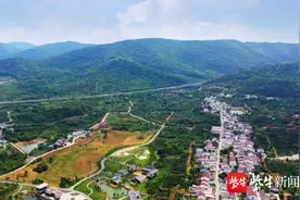 了不起的乡村（26）|泉东村：雕琢乡村特色，做大苗木+产业图片