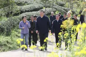 2025年，福建茶产业将会变成这样图片