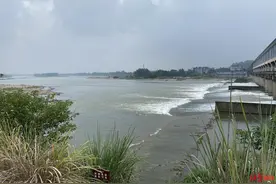 污水处理站有臭味？水务局：出水达标排放，相关设备密闭处理，每周至少巡查一次图片