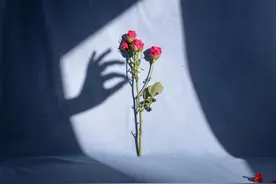 夜读 | 自知者明，自胜者强，自爱者乐图片