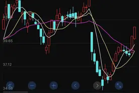 加拿大鹅翻车！号称填充“最保暖加拿大羽绒”，却以次充好，虚假宣传被罚45万元图片