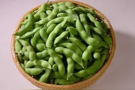 毛豆丨范洪祥图片