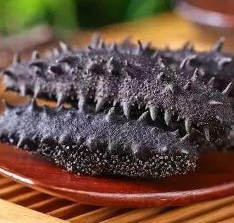 智利花胶 2026年arctique 花胶