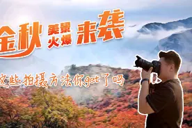 金秋美景火爆来袭 这些拍摄方法你get了吗图片