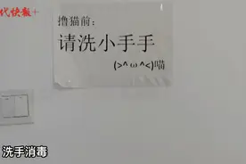 成都一猫咖半月无人管引网友热议，南京的猫咖狗咖还好吗？图片