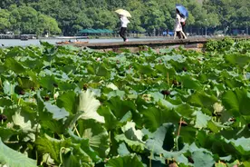 今天仍可能是高温日，这个夏天的“尾巴”，实在是有点长……图片