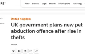 宠物是有感情的！英国政府计划将诱拐宠物行为入刑图片