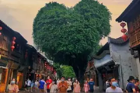 爱你的形状！福州三坊七巷爱心树图片