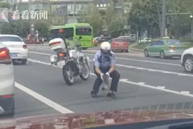 猫咪过马路吓到不敢动 警察蜀黍这个举动暖化了图片