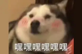 《夏日少年派》的时尚态度刷屏了图片
