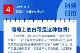 钦州科普日历丨葡萄上的白霜是这种物质！图片