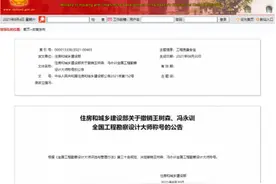 工程勘察设计领域，两人被撤销“大师”称号图片