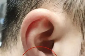 看完这篇文章，快摸摸你的耳朵图片