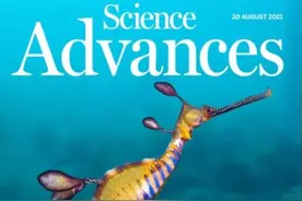 海里真的有“龙”吗？图片