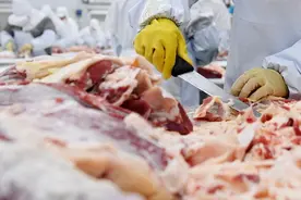 巴西：暂停对华牛肉出口图片