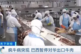 暂停对华牛肉出口！巴西确认发现非典型疯牛病病例，上半年六成巴西牛肉出口到中国图片