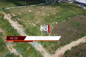 西安村民举报百余亩耕地被倾倒建筑垃圾，执法部门表示“无证可查”视频封面