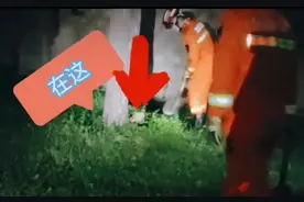 好大一条“蛇”！北京消防接到报警称小区内有大蛇，结局令人哭笑不得图片