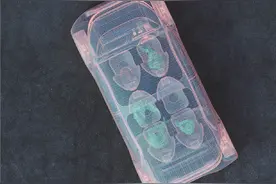算法·深析｜专访上海社科院罗力：自动驾驶上路前需立法先行图片