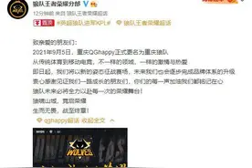 英超狼队收购重庆QGhappy，更名“重庆狼队”征战新赛季KPL图片