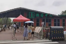 白鹭翩飞、螃蟹遍地，崇明这个景区迎来生机盎然的季节，还在冲刺国家5A景区图片