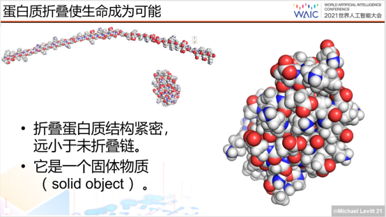 蛋白质结构预测取得突破后，诺奖得主为上海支招：加快发展计算生物学
