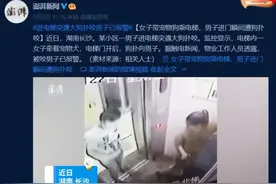 女子带宠物狗乘电梯，男子进门瞬间遭狗扑咬图片