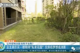 买房就送大院子？业主花高价买下一楼，交房时傻眼了……图片