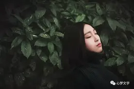 贤秀霞｜秋图片