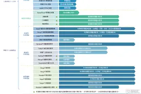 沛嘉医疗-B（9996.HK）：兼具瓣膜和神介两大平台的领头羊，上半年营收大增263%图片