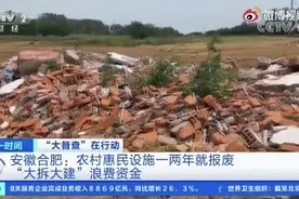 安徽明星村大拆大建一两年浪费近700万！网友：现实版扫黑风暴？图片