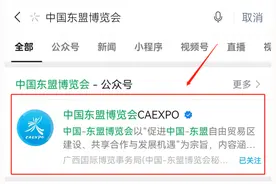 开售！第18届东博会公众开放日门票轻松线上GET√图片