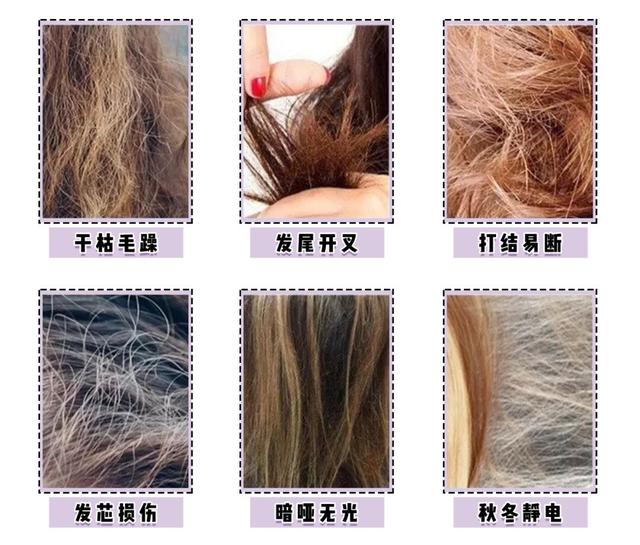 护发精油这样用，让你仙气飘飘