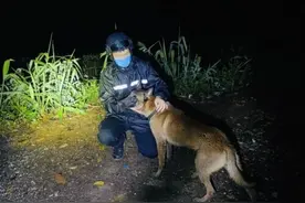 瞬间破防！警犬挡在民警身前，不幸牺牲……图片
