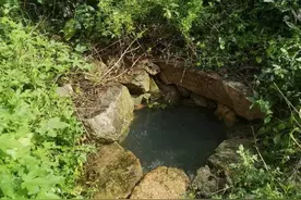 山上的生活 | 猫脸山上住着我的二爷爷图片